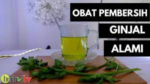 Berikut Minuman Alami untuk Membersihkan Ginjal, Ampuh Meluruhkan Batu Ginjal, Apa Saja? Cek Daftarnya 