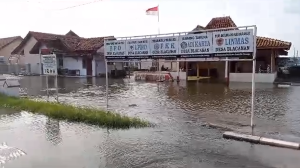 Miris! Banjir Rob Tiap Sore Rendam Desa Blacanan di Pesisir Pekalongan