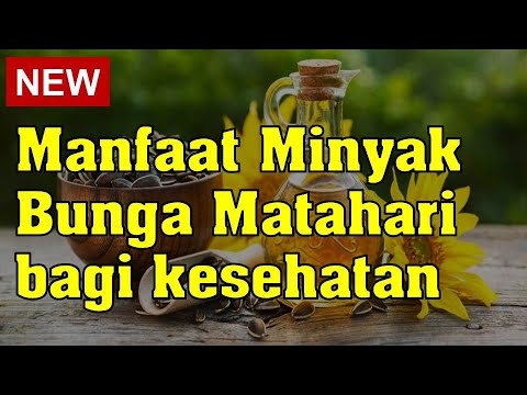 Inilah Manfaat Minyak Bunga Matahari Bagi Tubuh, Ternyata Dapat Menurunkan Kadar Kolesterol dan Trigliserida