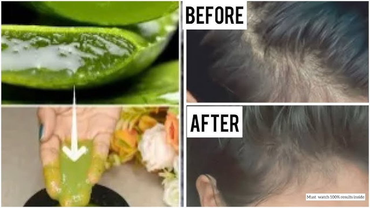 3 Cara Menghitamkan Uban dengan Lidah Buaya, Hasilnya Bikin Rambut Putih Hilang Permanen!