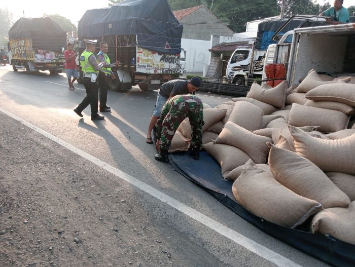 Diduga Sopir Mengantuk, Truk Muatan 8 Ton Kacang Tanah Terguling di Jalan Pantura Wiradesa