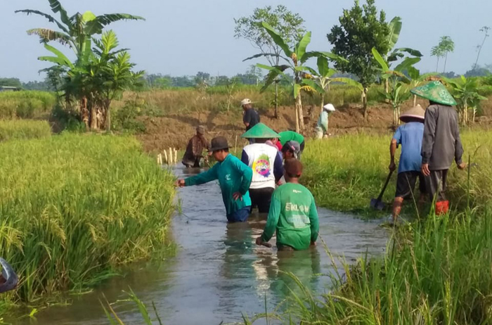 Kerusakan Zona Irigasi Tersier Lintas Desa Jadi Persoalan Serius 