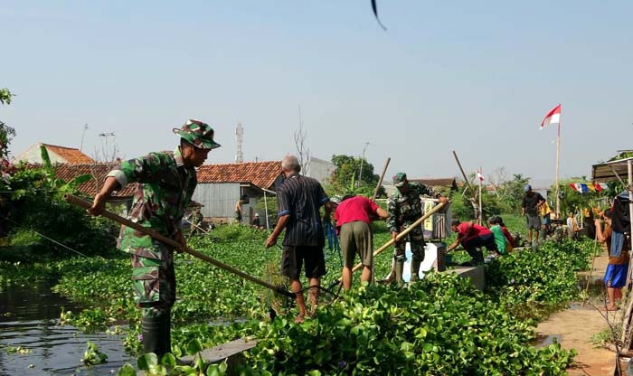 Eceng Gondok Sumbat Aliran Sungai Bremi