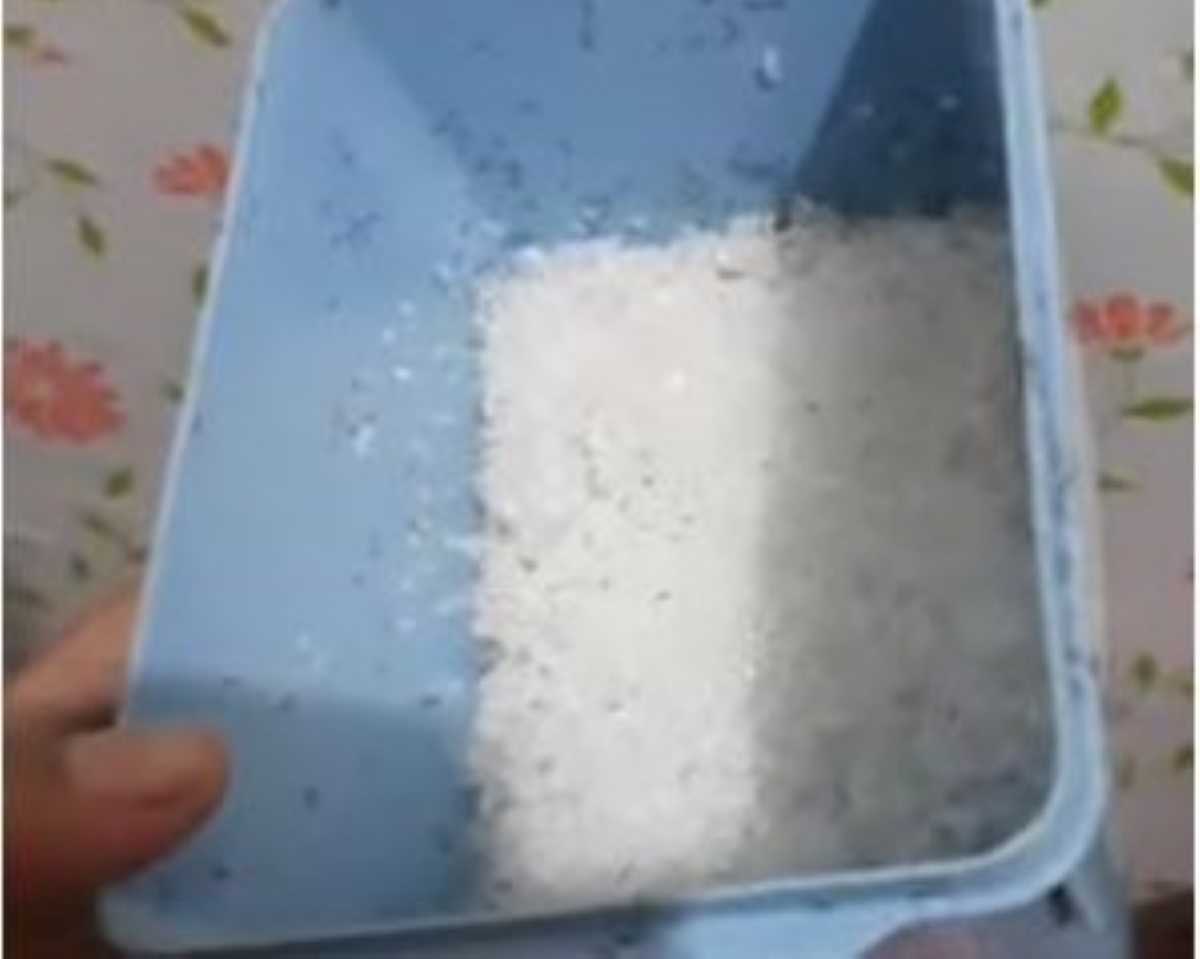Inilah 3 Cara Mengusir Semut dalam Toples Gula dengan Mudah dan Benar! Gak Pake Repot, Semut Kabur Seketika!