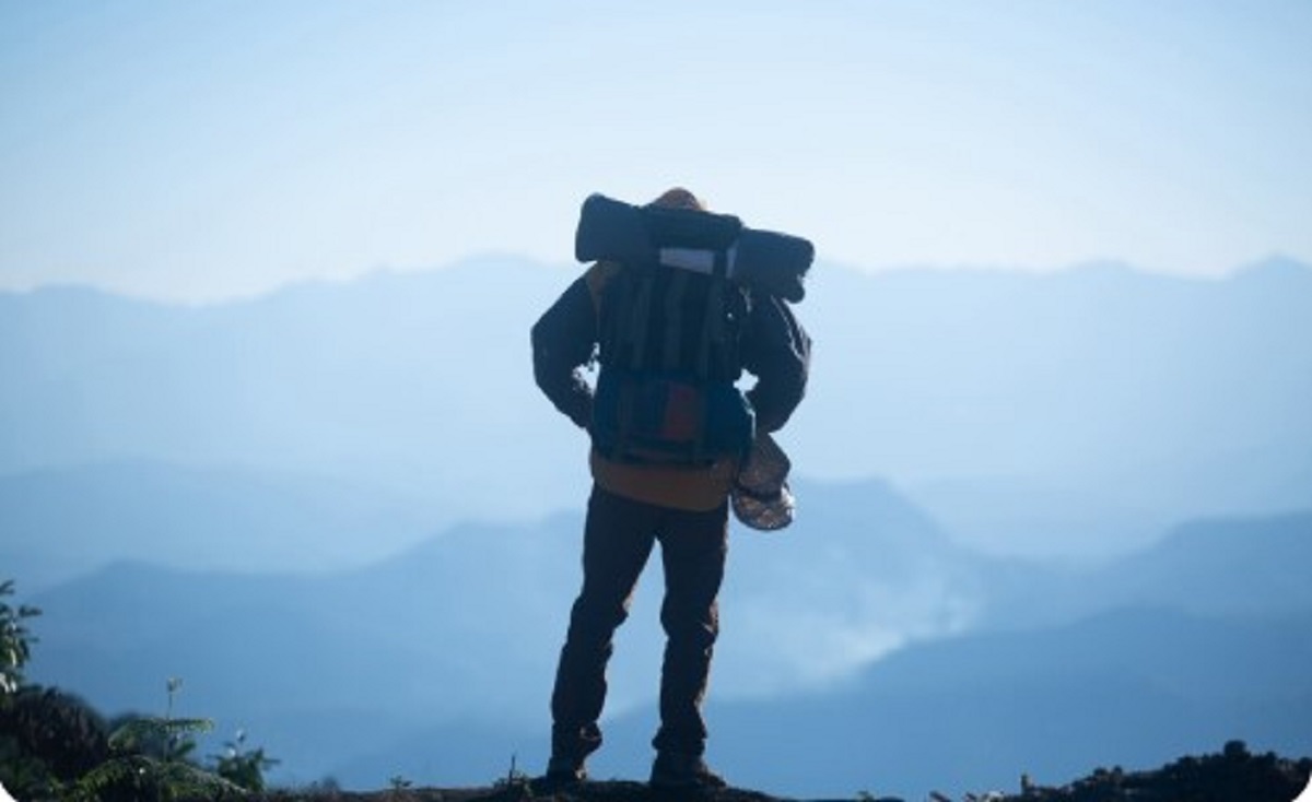Rahasia Keindahan Tersembunyi: Mendaki Gunung Rogojembangan Kabupaten Pekalongan, Surganya Pendaki Sejati!