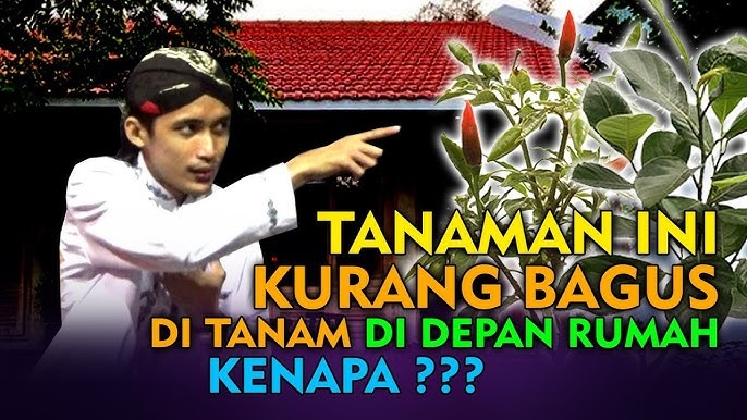 Lebih Banyak Mudharatnya, Inilah 5 Jenis Tanaman yang Dilarang Dalam Islam, Muslim Harus Tahu!