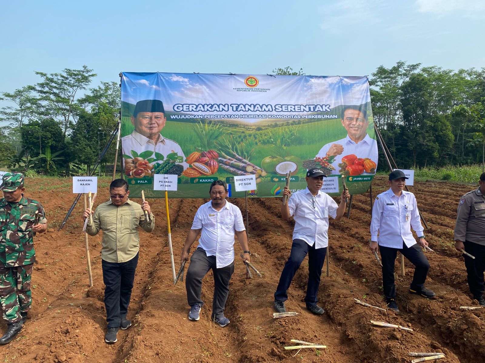 DKPP Kabupaten Pekalongan Genjot Peremajaan Tebu Lewat Program Bongkaratoon 2026