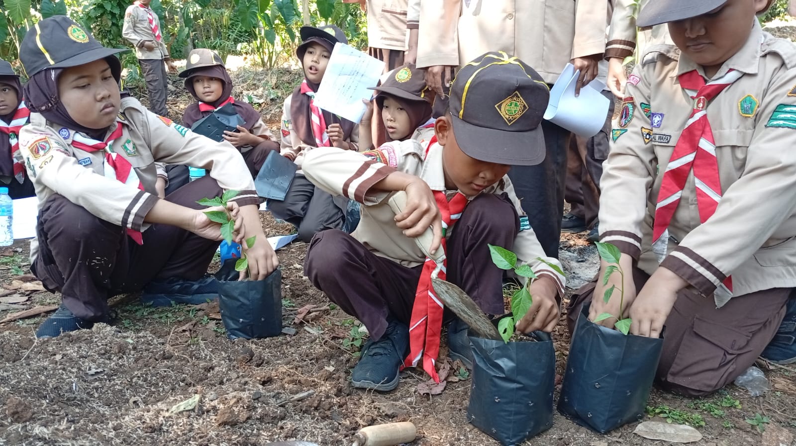 Praktik Menanam hingga Panen Melon, Nanda Siaga MI NU Takhassus Karangjati Ikuti Pesta Kebun