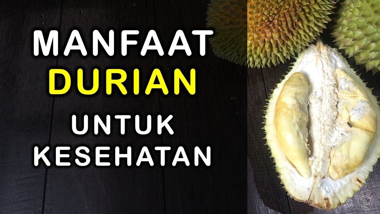 Inilah 4 Manfaat Makan Durian untuk Tubuh, Mau Tahu? Cek Faktanya ini