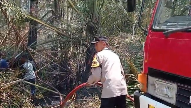 Kebun Nipah di Desa Blimbingwuluh Pekalongan Terbakar, Ini Penyebabnya Kata Polisi