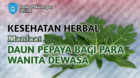 Ini Manfaat Daun Pepaya Bagi Para Wanita Dewasa yang Harus Diketahui, Apa Saja Manfaatnya? Simak ini