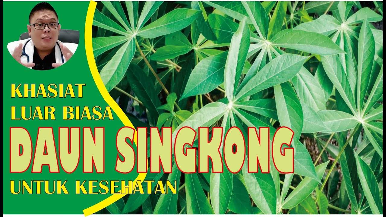 Khasiat yang Jarang Diketahui dari Daun Singkong, Mau Tahu?