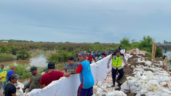 Tanggul Kritis di Pesisir Pekalongan Diperkuat, TNI, Polri dan Warga Kerja Bakti Bangun Tanggul Darurat