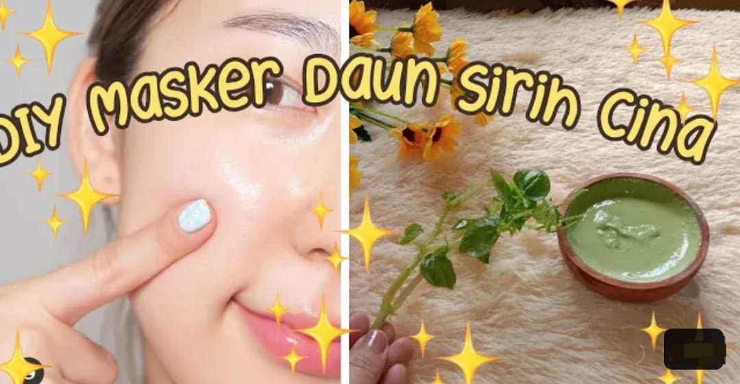 Begini Cara Membuat Masker Daun Sirih Cina untuk Wajah Kencang dan Glowing, Bebas Noda dan Kecilkan Pori-Pori