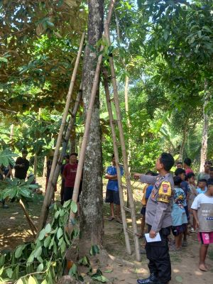 Petik Buah Nangka, Warga Desa Manjangan Tewas Jatuh Dari Pohon
