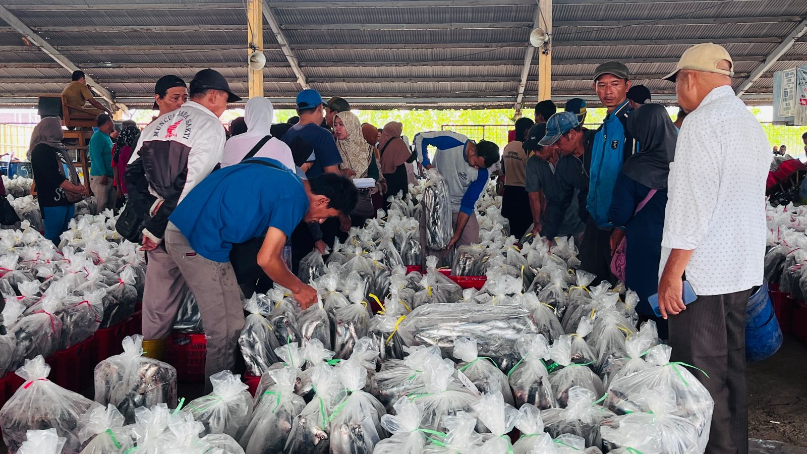 Produksi Ikan TPI Pekalongan Naik, Harga Tinggi Dongkrak Pendapatan Nelayan
