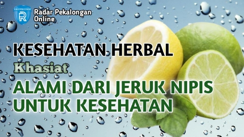 Ini Khasiat Alami dari Jeruk Nipis Untuk Kesehatan yang Perlu Kamu Ketahui, Apakah Khasiatnya?