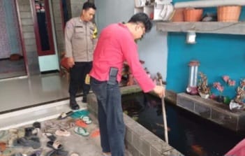 Innalilahi, Balita 2 Tahun di Pekalongan Tewas Tenggelam di Kolam Ikan Koi Depan Rumahnya