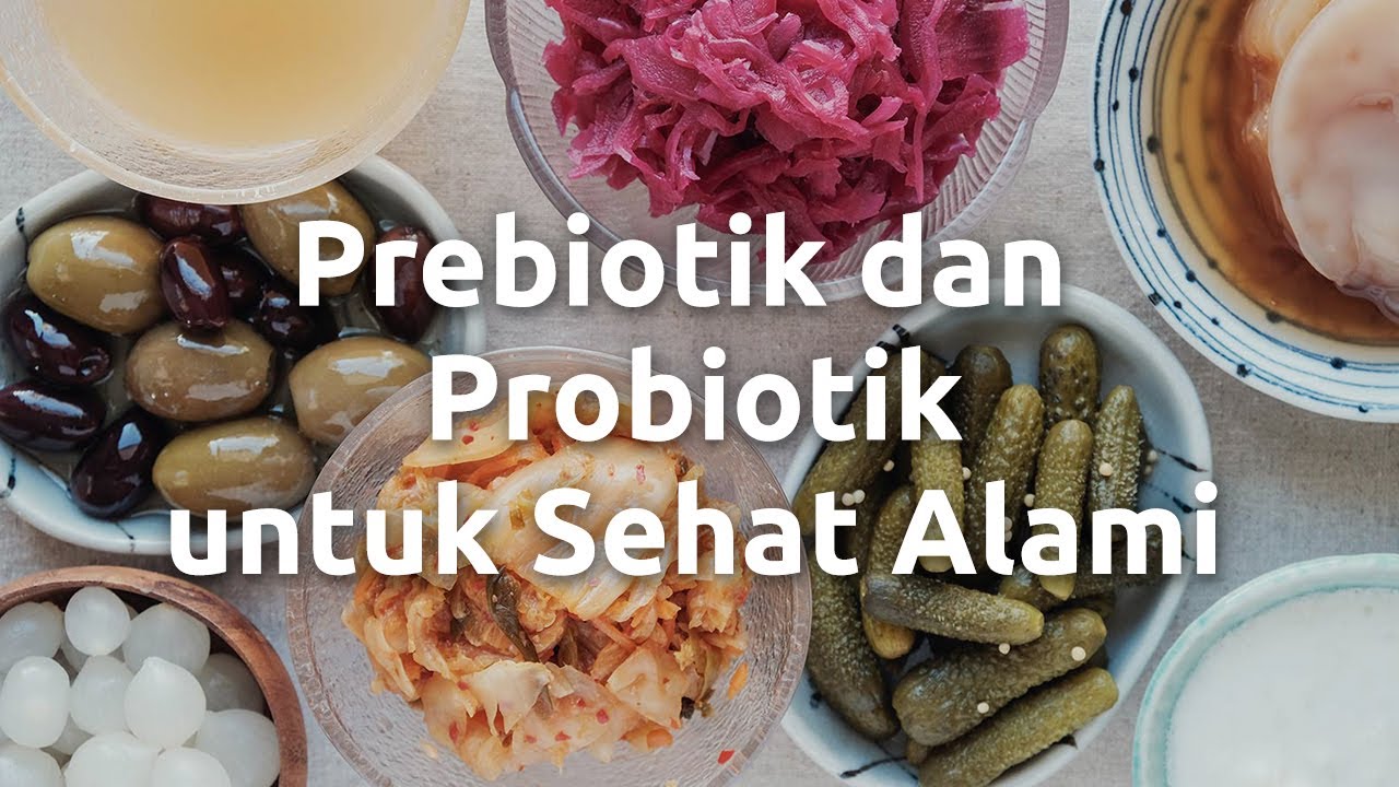Inilah 7 Rekomendasi Makanan Probiotik dan Manfaat Kesehatannya yang Banyak untuk Tubuh