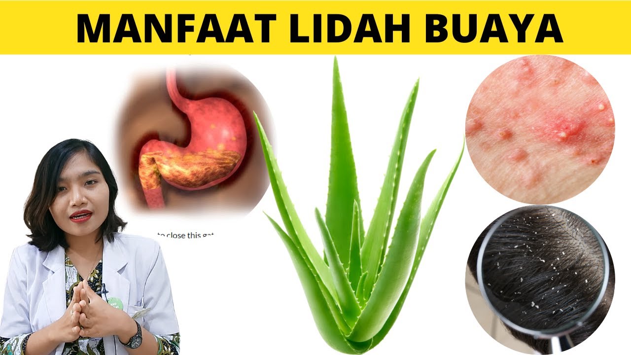 Ini 2 Manfaat Lidah Buaya yang Baik Untuk Kesehatan, Apa Saja?