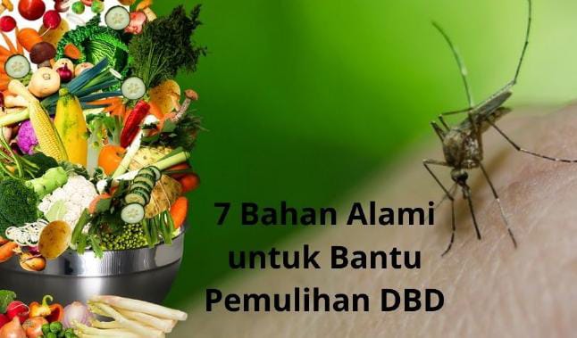 Gampang Ditemukan, Ini 7 Bahan Alami untuk Bantu Pemulihan DBD