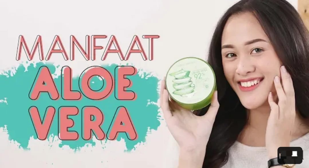 5 Manfaat Gel Lidah Buaya untuk Wajah Usia 50 Tahun Ke Atas, Kulit Bebas Flek Hitam Glowing Tanpa Kerutan