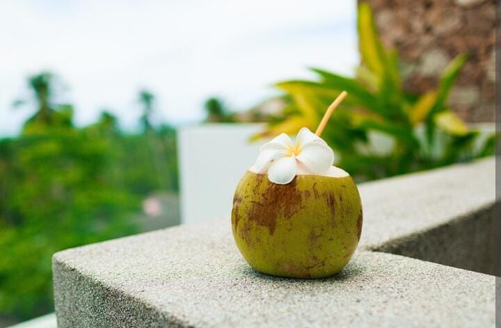 5 Manfaat Minum Air Kelapa untuk Ibu Hamil, Bisa Meredakan Morning Sickness Sampai Mendukung Kesehatan Janin!