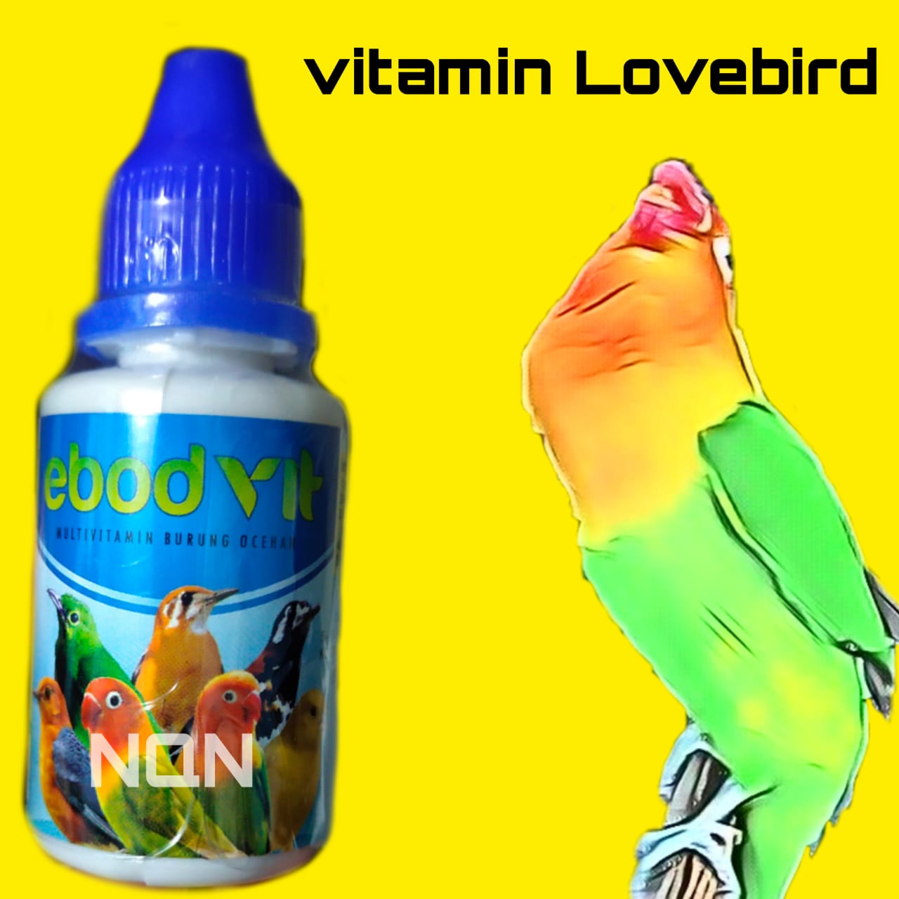 Catat Nih! 5 Produk Vitamin untuk Burung Lovebird, Auto Gacor dan Menang Kontes