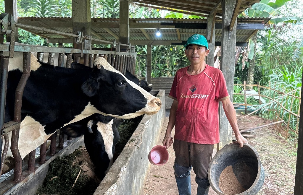 Dari Lereng Reban, Sapi Perah Semampir Jadi Harapan Ekonomi Baru Warga Desa