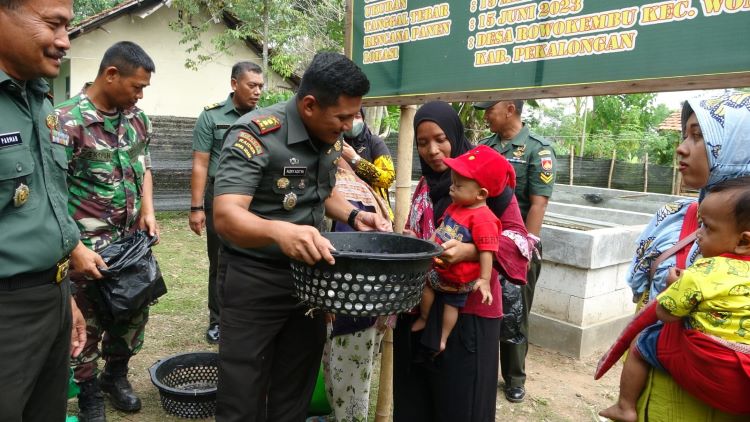 TNI Kodim Pekalongan Panen Perdana Ikan Lele, Hasilnya Sebagian Diberikan untuk Anak Stunting