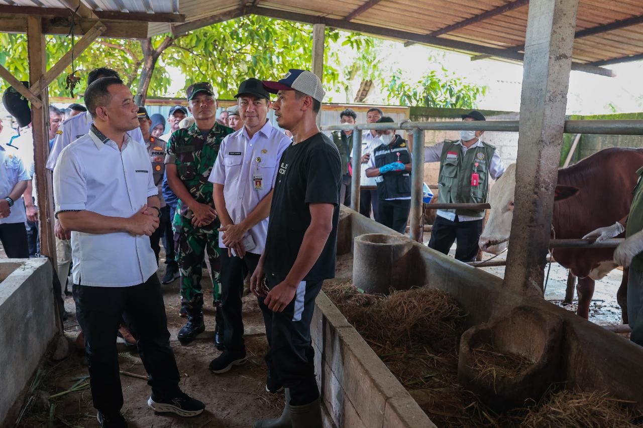 Jelang Iduladha, Ahmad Luthfi Minta Layanan Kesehatan Hewan Keliling Diintensifkan