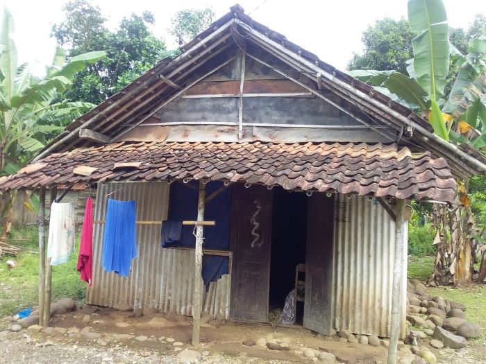 Mbah Suminah, Hidup Sebatang Kara Berteman Ayam Peliharaan di Rumah Tak Laik Huni di Sabarwangi Pekalongan