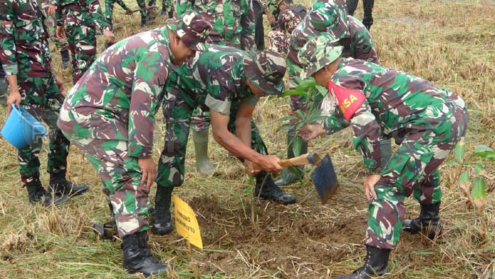 TNI Hijaukan Desa Surobayan