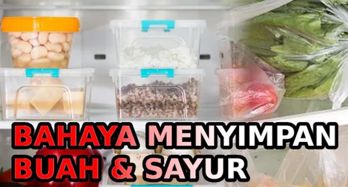 Awas, Jangan Dilakukan! Ini 5 Kesalahan Menyimpan Sayur dan Buah di Kulkas yang Bikin Cepat Busuk