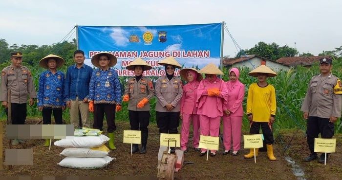 Dukung Ketahanan Pangan Nasional, Polres Pekalongan dan BPP Kedungwuni Tanam Jagung