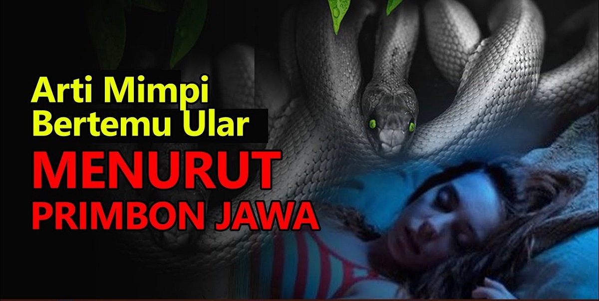 Inilah 8 Arti Mimpi Melihat Ular Menurut Primbon Jawa, Bisa Jadi pertanda Baik Bagi hubungan Asmara!