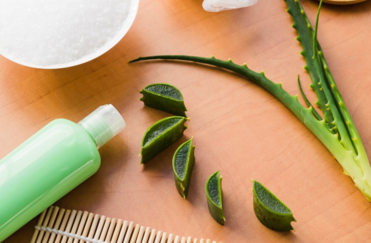 Rahasia Rambut Sehat dan Lembut Pakai Aloe Vera, Cek Produknya Sekarang 