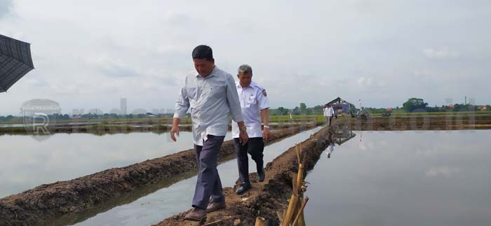 Pembangunan Tanggul Laut Pekalongan Mulai Membawa Dampak Negatif di Batang