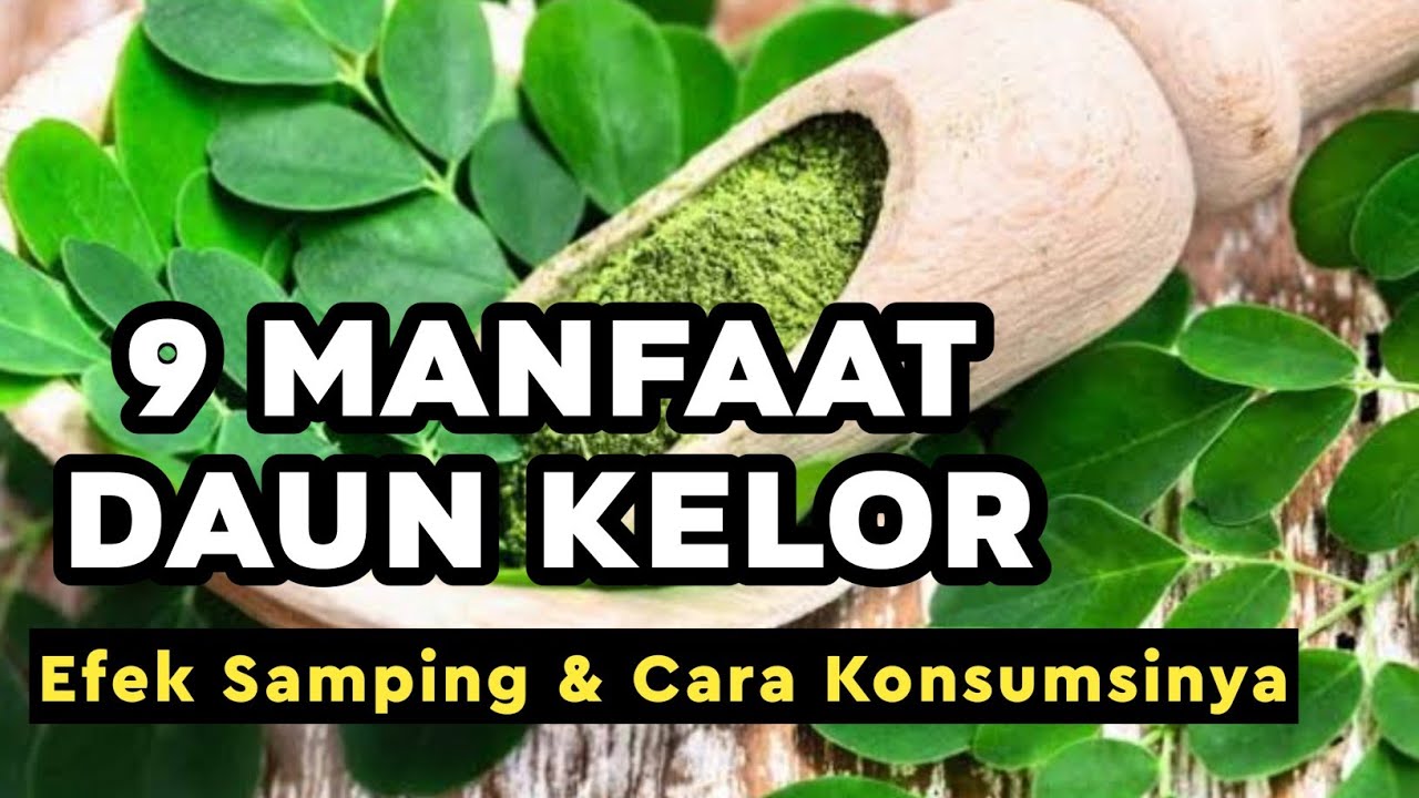 Punya Segudang Manfaat Inilah 3 Manfaat Sayur Daun Kelor Kaya Nutrisi