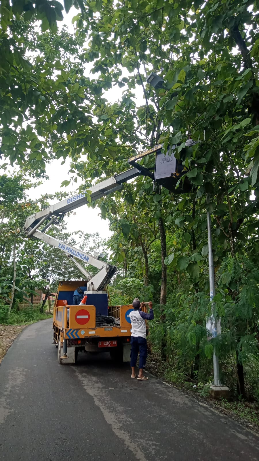 Dishub Kabupaten Pekalongan Intensifkan Perambasan Ranting Pohon Demi Optimalkan PJU