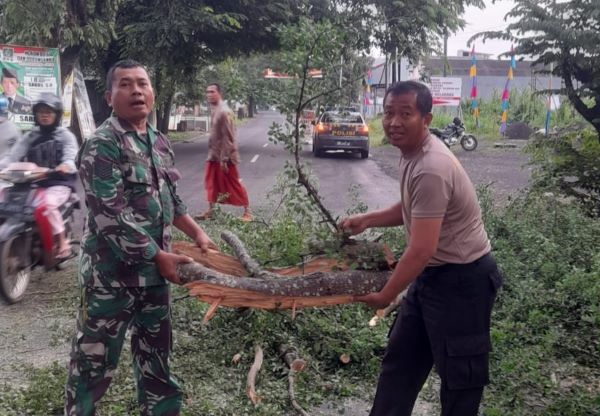 Koramil dan Polsek Karanganyar Bersama BPBD Bersihkan Pohon Tumbang di Jalan Raya Karanganyar - Wonopringgo 