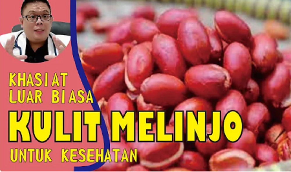 Jangan Sepelekan! Inilah 6 Khasiat Kulit Melinjo untuk Kesehatan 