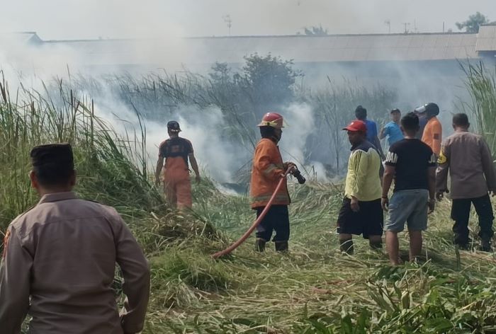 Lahan Bengkok Kelurahan Bener Pekalongan Terbakar