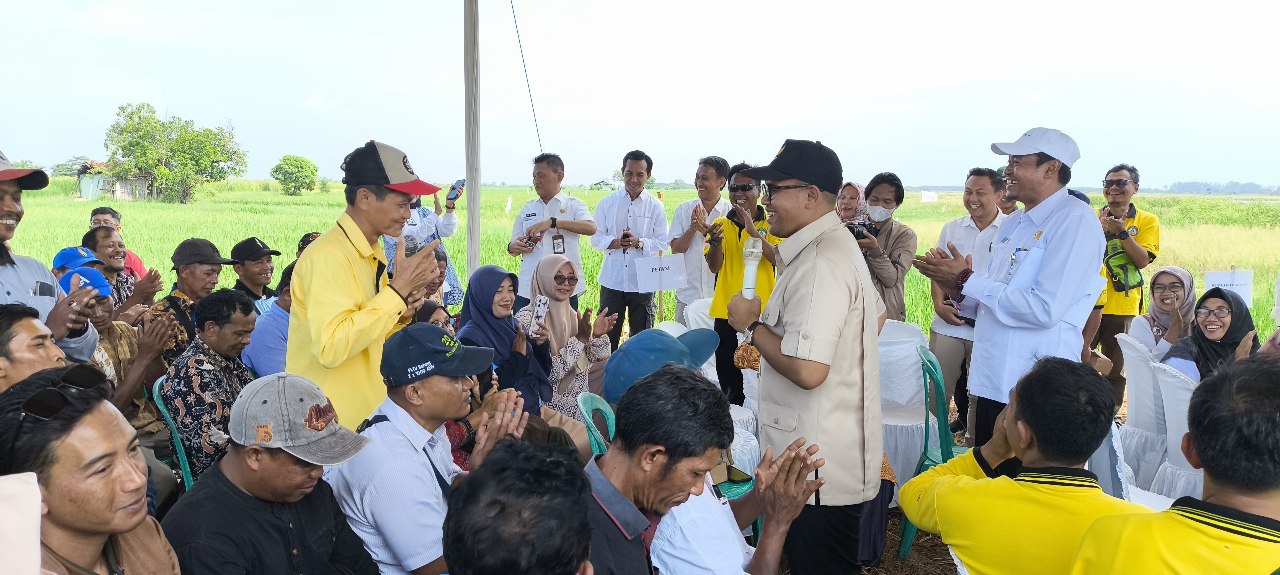 Seratusan Hektar Sawah di Kecamatan Batang Terendam Air Rob, Ini Langkah yang Dilakukan Bupati Faiz 