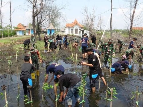 Kodim Pekalongan Bersama Kapilaska SMAN 1 Kajen Bersih-bersih Pantai dan Tanam Mangrove di Pantai Depok