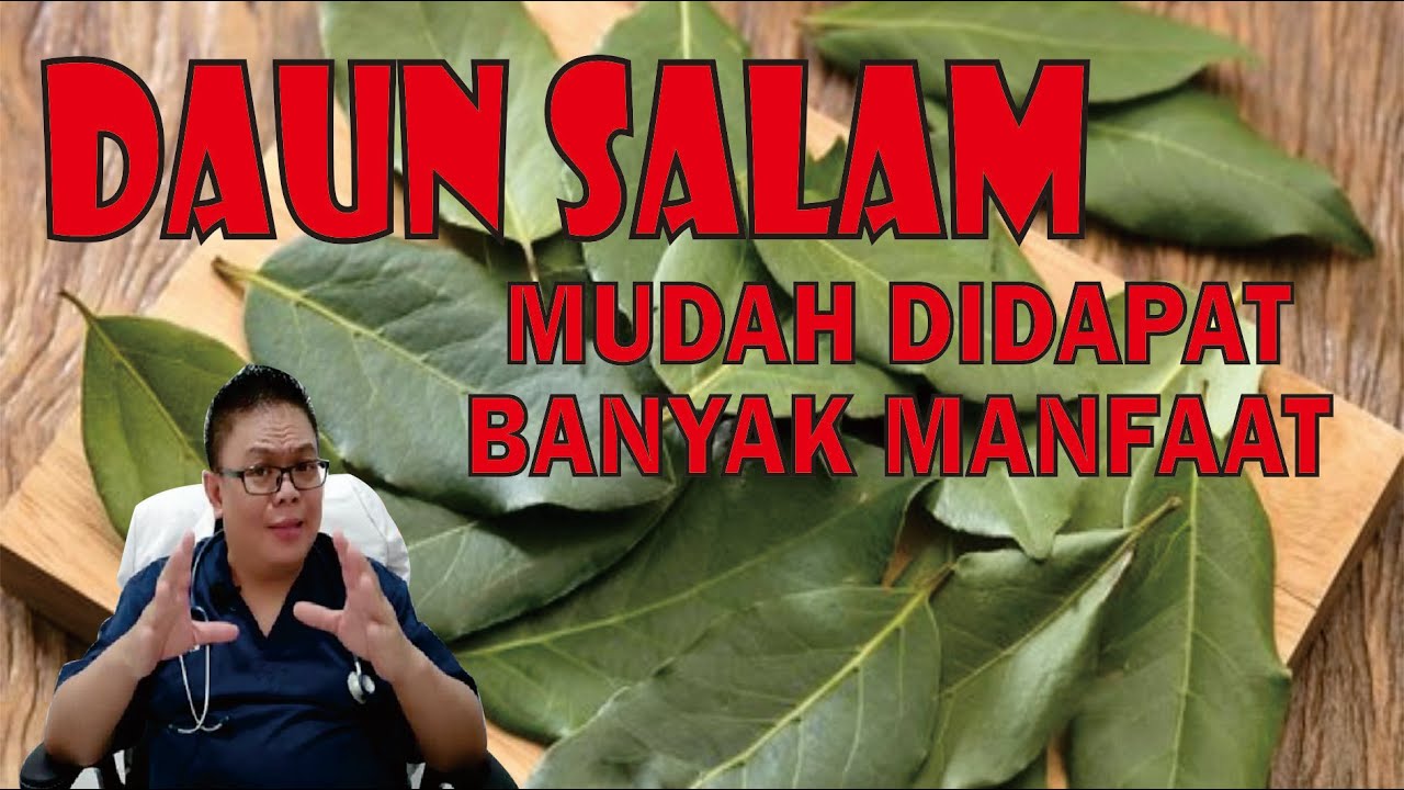 Ini Khasiat Terbaik dari Satu Lembar Daun Salam Untuk Kesehatan, Mau Tahu?