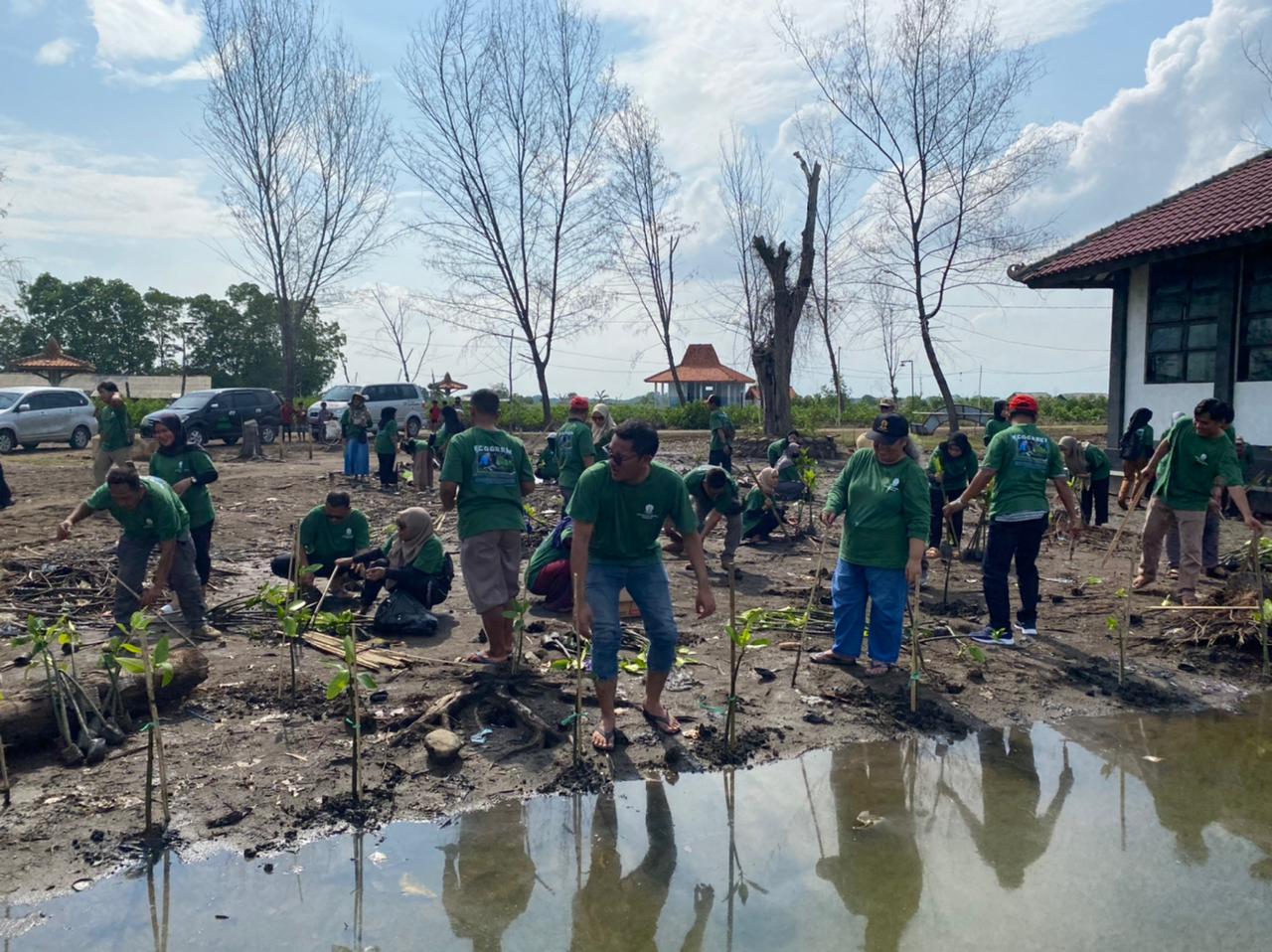 Ratusan Mahasiswa UT Semarang Tanam Ribuan Mangrove di Pantai Blacanan