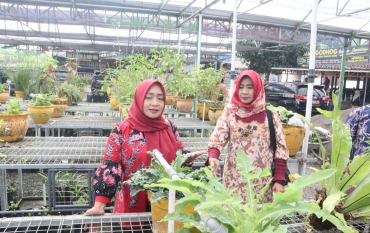 Pentingnya Edukasi Manfaat Tanaman Herbal Untuk Masyarakat