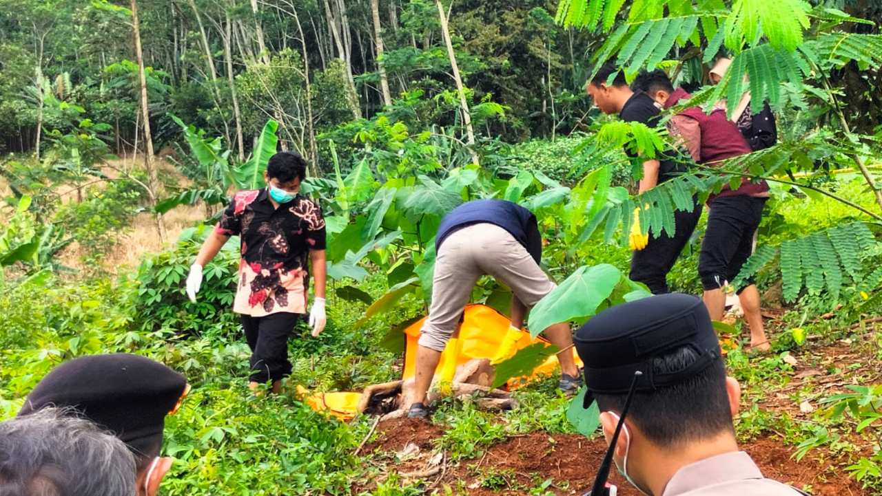 Mayat Perempuan Ditemukan di Hutan Jati Subah Batang