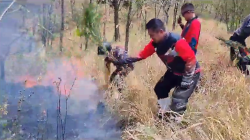 Jelajahi Hutan dengan Tim Trabas Kamtibmas, Kapolres Pekalongan Temui Kebakaran Hutan